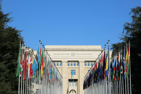 Democracy & the Rule of Law