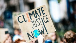 Climate Litigation