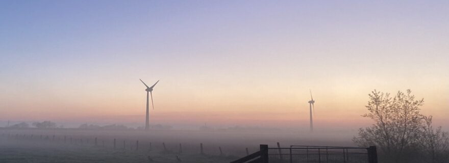 New EU rules to curb greenwashing