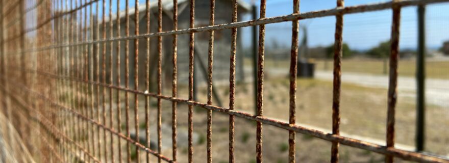 The rise of penal populism in a non-punitive country?