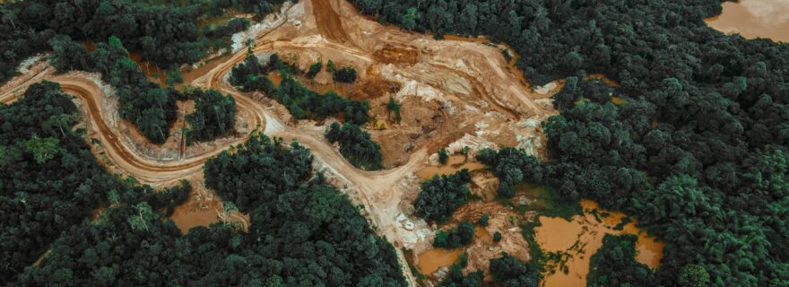 Green goals, unfair burden