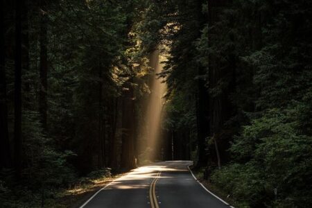 Putting the pre-pack into practice: A ray of light at the end of the tunnel?