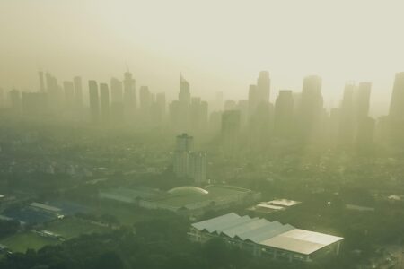 Climate change litigation in Indonesia